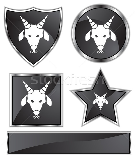 Zodiac - Capricorn Stock photo © cteconsulting