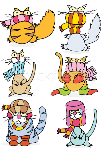 Cold Winter Cats Stock photo © cteconsulting