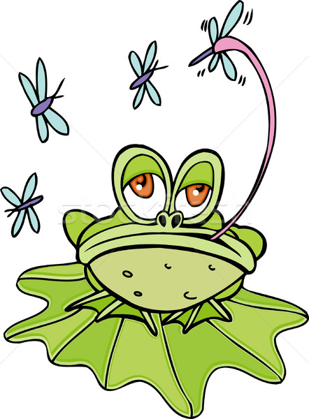 żaba obraz drzewo dżungli latać zwierząt Zdjęcia stock © cteconsulting