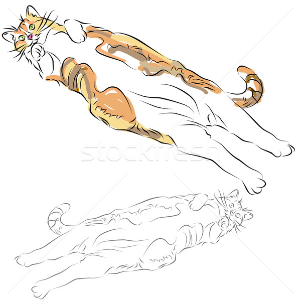 Fat Calico Cat Laying Down Stock photo © cteconsulting