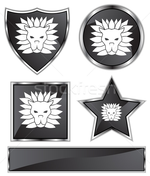Zodiac - Leo Stock photo © cteconsulting