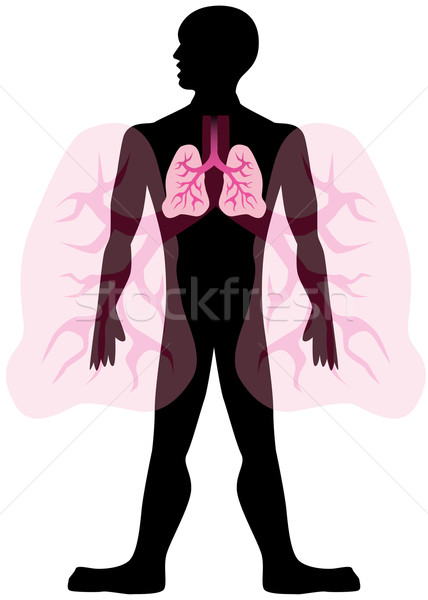 Bild Person medizinischen Körper Gesundheit Medizin Stock foto © cteconsulting