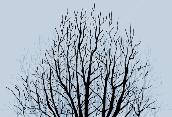 Stock foto: Nackt · Baum · Gliedmaßen · Hand · gezeichnet · Silhouette · Niederlassungen