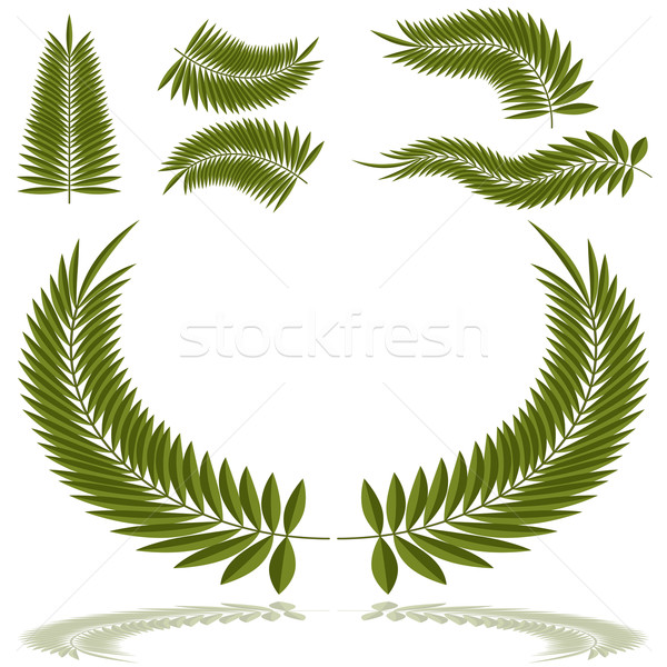 Palm Frond Set Stock photo © cteconsulting
