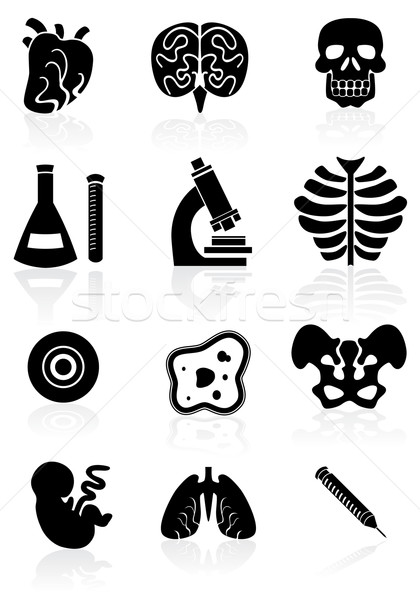 Biologie schwarz Tasten grundlegende Farbe Stock foto © cteconsulting