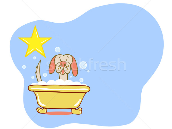 Psa kąpieli star labrador psi Zdjęcia stock © cteconsulting