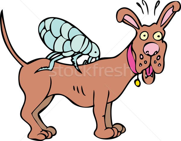 Dog with Flea Icon Stock photo © cteconsulting