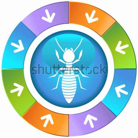 Bug Icon Set Stock photo © cteconsulting