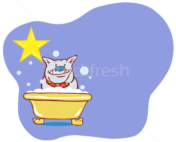 Dog Bath Star - Bulldog Stock photo © cteconsulting