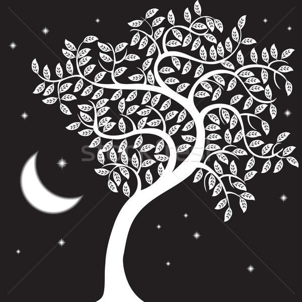 Night Tree Stock photo © cteconsulting