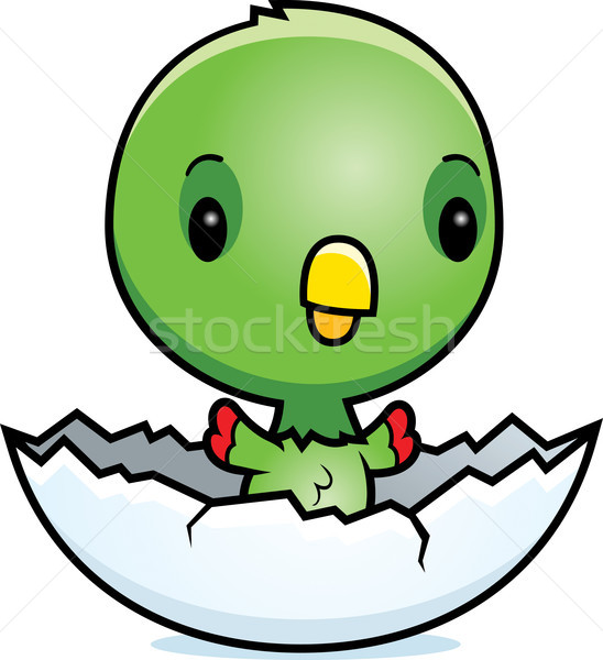Desenho animado bebê papagaio ilustração verde jovem Foto stock © cthoman