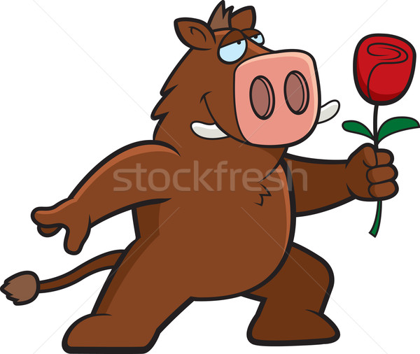 Boar Flower Stock photo © cthoman