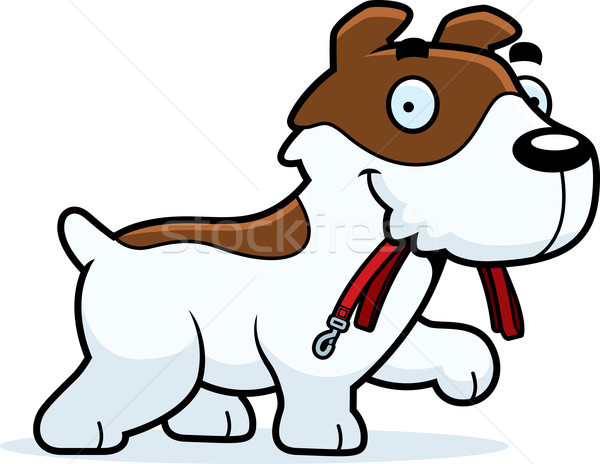 Cartoon jack russell terrier smycz ilustracja spaceru usta Zdjęcia stock © cthoman