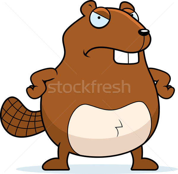Angry Beaver Stock photo © cthoman