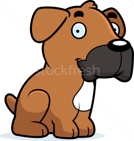 Stock fotó: Rajz · boxoló · ül · illusztráció · kutya · grafikus