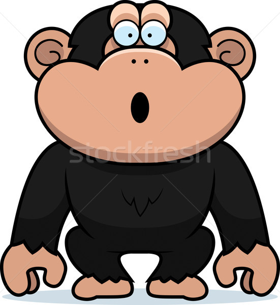 Chimp Surprised Stock photo © cthoman