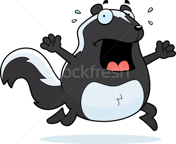 Desenho animado jaritataca pânico corrida assustado Foto stock © cthoman