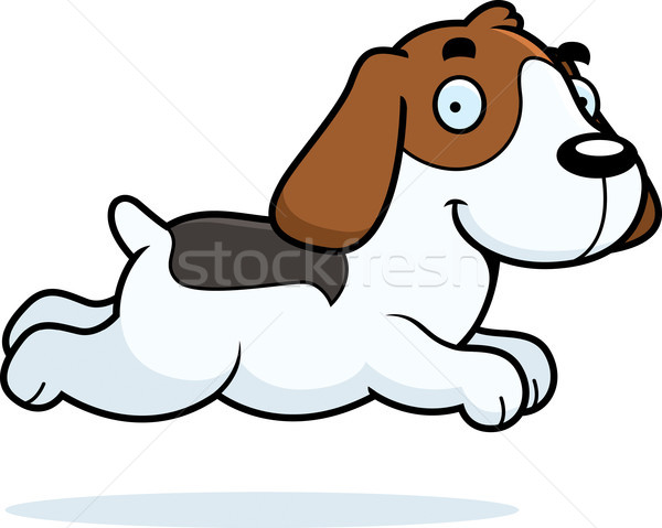 Cartoon beagle esecuzione illustrazione grafica cucciolo Foto d'archivio © cthoman