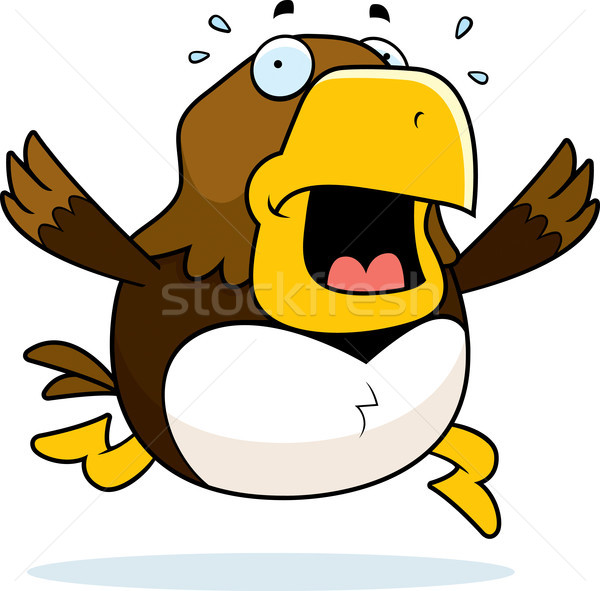 Desenho animado falcão pânico corrida Águia animal Foto stock © cthoman