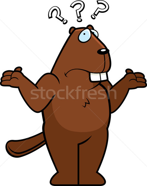 Beaver Confused Stock photo © cthoman
