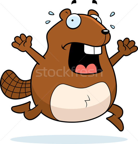Beaver Panic Stock photo © cthoman