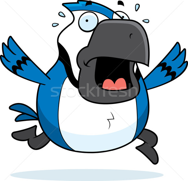 Cartoon Blue Jay Panic Stock photo © cthoman