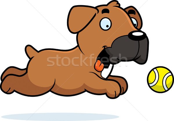 Cartoon bokser bal illustratie hond glimlachend Stockfoto © cthoman