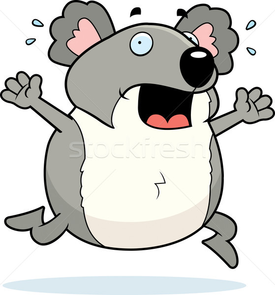 Koala Panik Karikatur läuft tragen Stock foto © cthoman