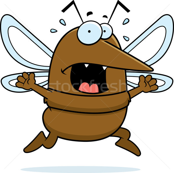 Mosquito Panic Stock photo © cthoman