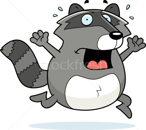 Waschbär Panik Karikatur läuft Tier Stock foto © cthoman