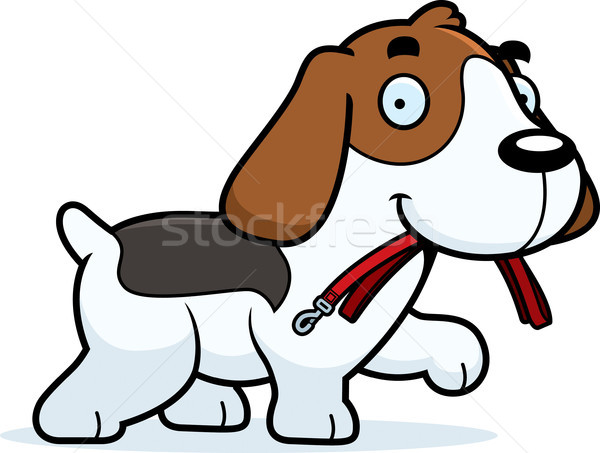 Cartoon beagle smycz ilustracja spaceru usta Zdjęcia stock © cthoman