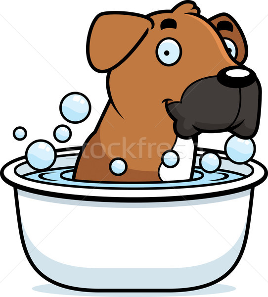 Cartoon Boxer Bath Stock photo © cthoman