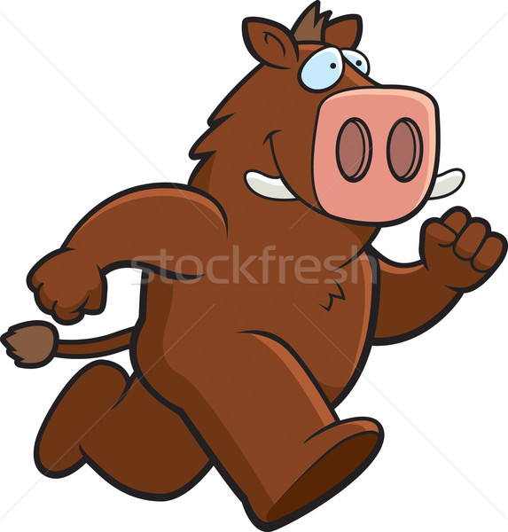 Boar Running Stock photo © cthoman