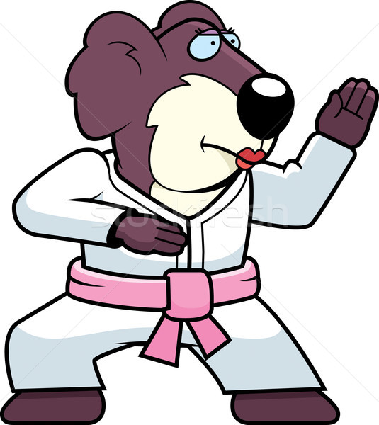 Foto stock: Karate · koala · Cartoon