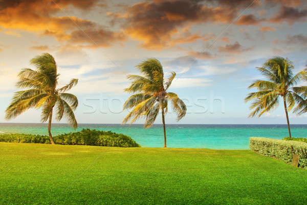 Plaja tropicala tropical recurge plajă frumos cer Imagine de stoc © curaphotography
