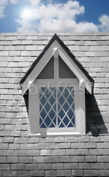 Window on house Stock photo © curaphotography