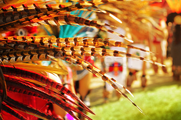 Colorful feathers Stock photo © curaphotography