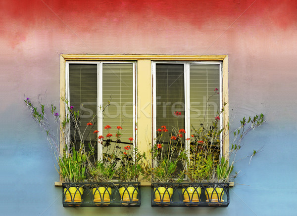 Flowerpots and window Stock photo © curaphotography
