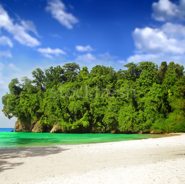 Tropischen Paradies schönen blauer Himmel grünen Pinsel Stock foto © curaphotography