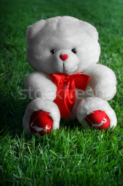 Dragoste alb ursuleţ cuvinte scris roşu Imagine de stoc © curaphotography