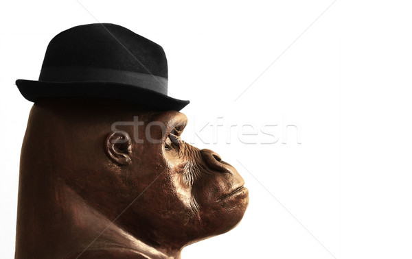 Gorila sombrero foto escultura cabeza perfil Foto stock © curaphotography