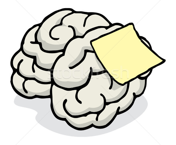 Blank note posted on brain reminder Stock photo © curvabezier
