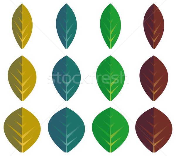 Set of color leaves Stock photo © curvabezier