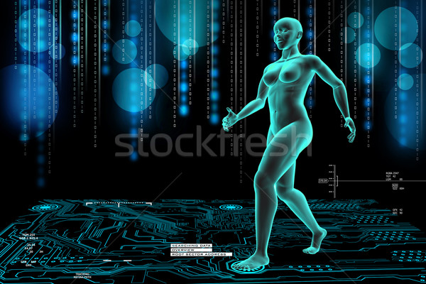 Stock photo: woman female human body