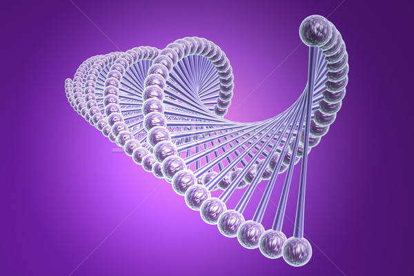 model of twisted DNA chain  Stock photo © cuteimage