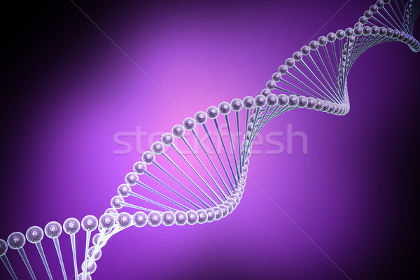 model of twisted DNA chain  Stock photo © cuteimage