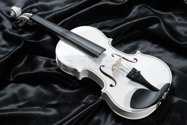 Photograph of a white violin Stock photo © cwzahner