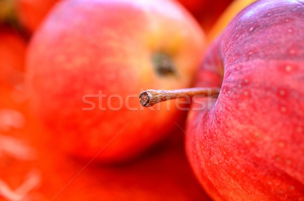 Rouge pommes table drap alimentaire nature [[stock_photo]] © cwzahner