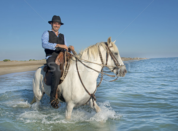 Stock photo: horse rider in the sea