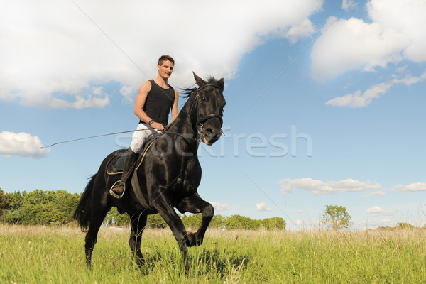 Foto stock: Joven · caballo · negro · semental · campo · hombre